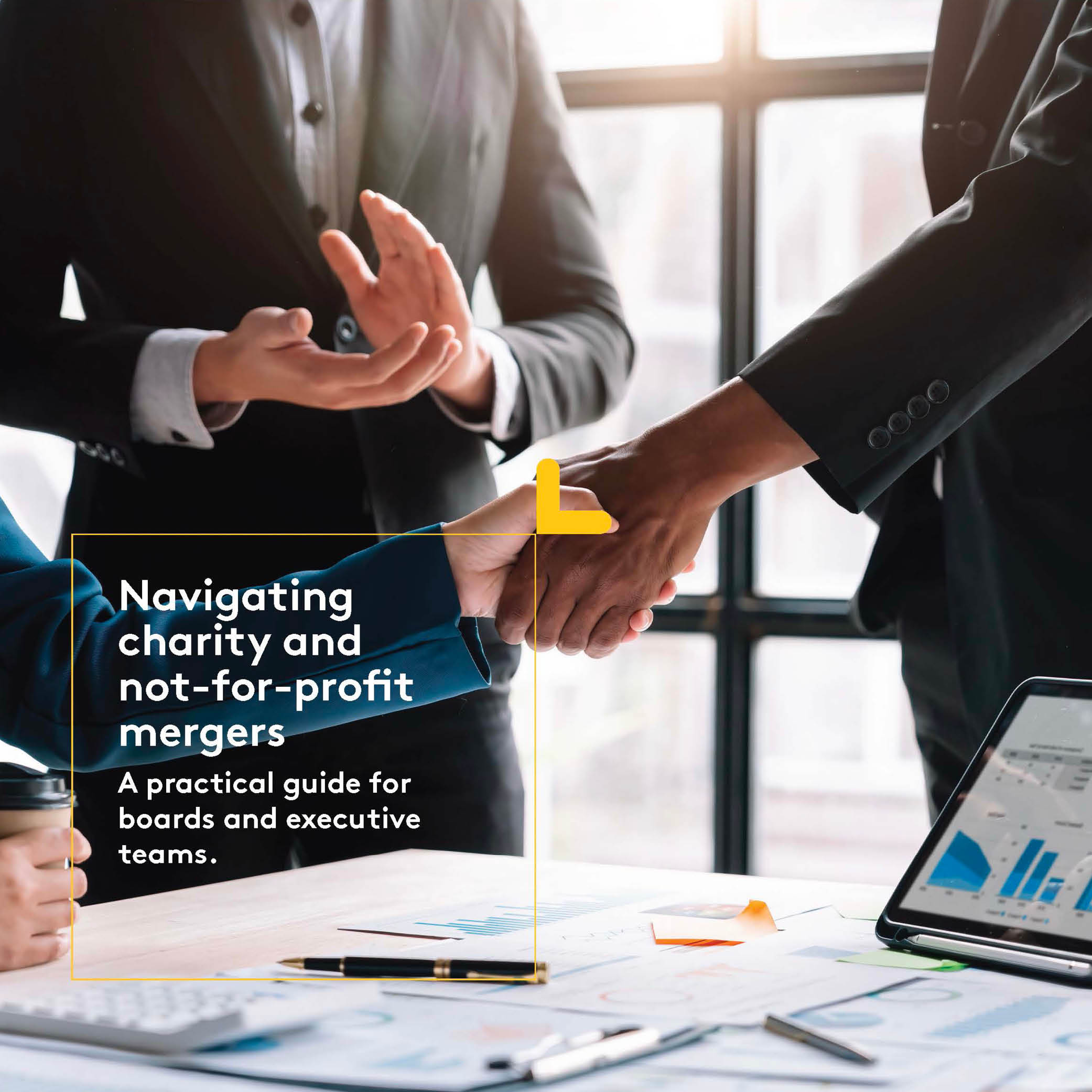 Navigating Charity and Not-for-Profit Mergers | A practical guide for boards and executive teams
